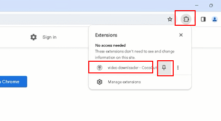 pin the cocout video downloader